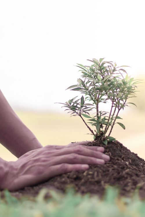 Enracinement accompagnement audit relation client tourisme