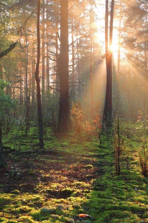 Avis clients Akène ton Care